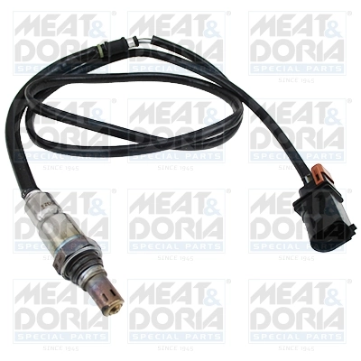 Oxygen Sensor